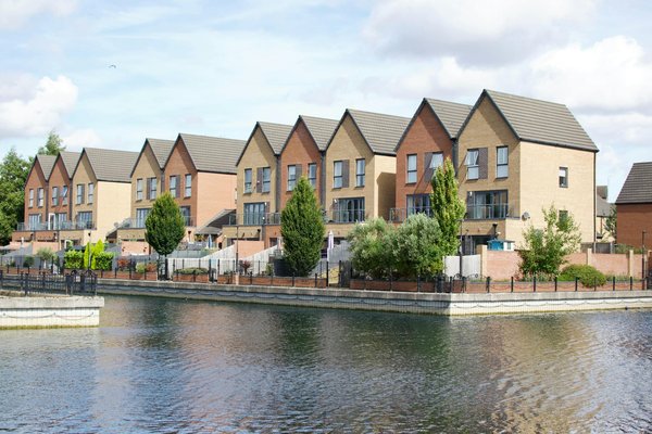 Les 10 Meilleures Plantes pour Une Haie Fleurie Éblouissante